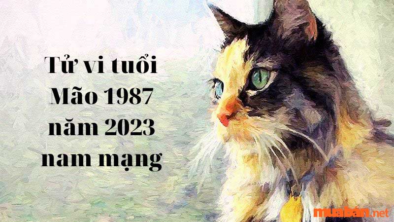 Tử Vi Tuổi Mão 1987 Năm 2023 Nam Mạng Luận Giải Chi Tiết