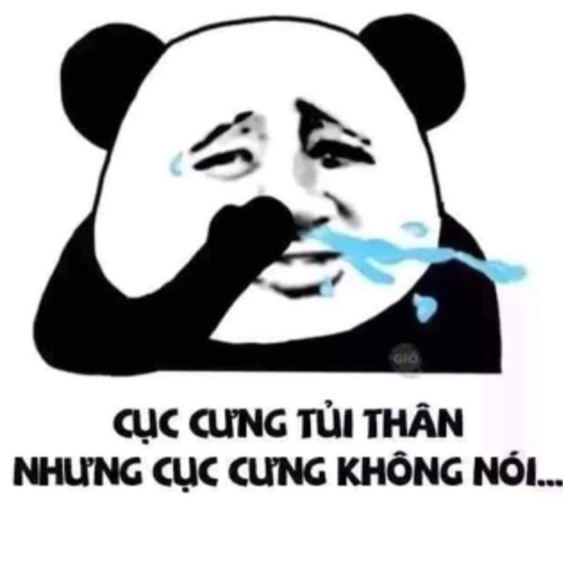 Meme gấu Trung Quốc và hải ly ấn tượng siêu hài hước