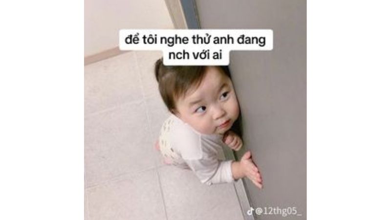 Tổng hợp 100 ảnh meme hài bựa, gây cười “bể bụng”