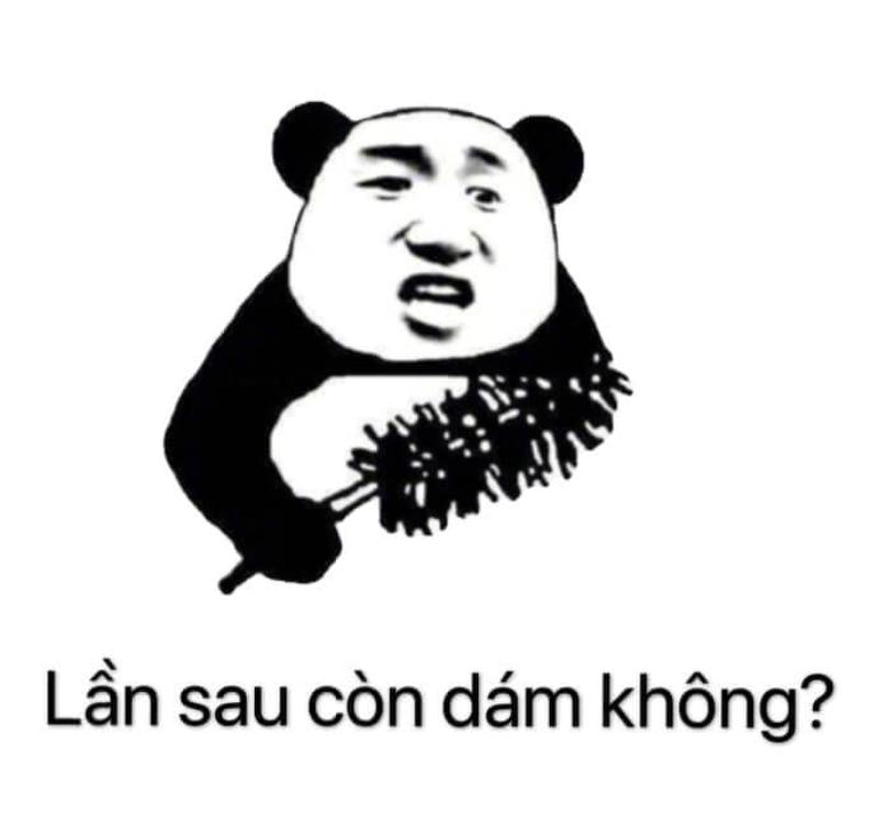 Meme gấu Trung Quốc và hải ly ấn tượng siêu hài hước