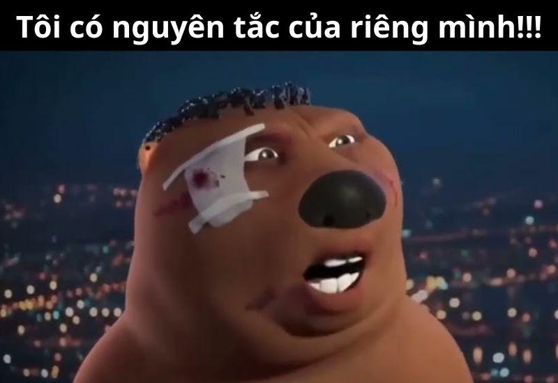 Meme gấu Trung Quốc và hải ly ấn tượng siêu hài hước