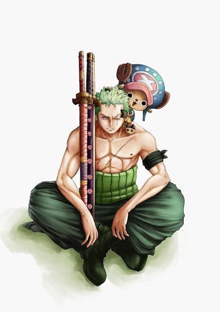 Bộ Sưu Tập Hình Ảnh Zoro Đỉnh Đẹp, Đỉnh Cool