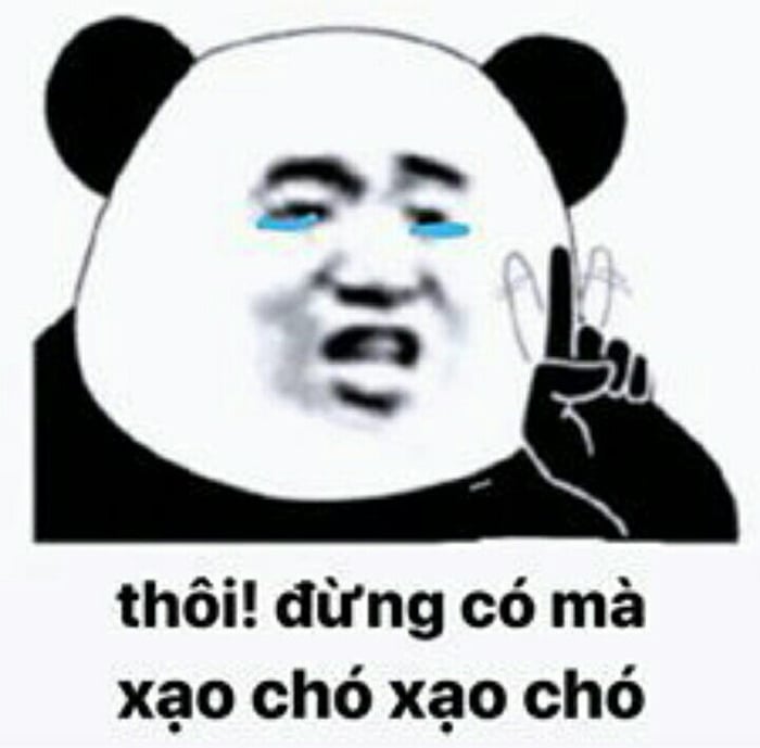 Đồng hành cùng bộ sưu tập meme gấu trúc Weibo hài bá đạo