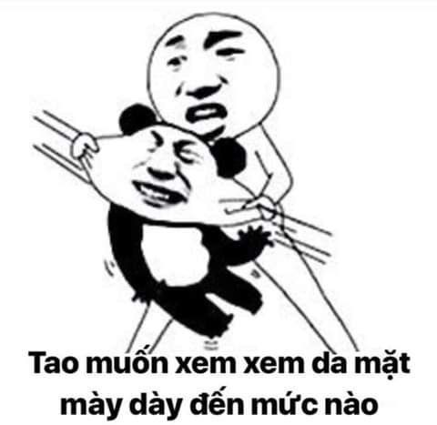 888+ meme gấu trúc bựa weibo cute, biểu cảm hài hước nhất