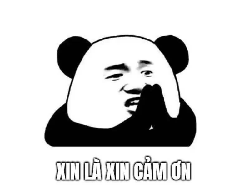 25+ ảnh meme cảm ơn cute, meme cảm ơn cà khịa cực mạnh