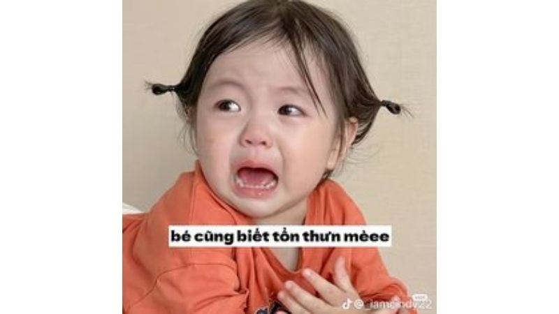 Tổng hợp 100 ảnh meme hài bựa, gây cười “bể bụng”