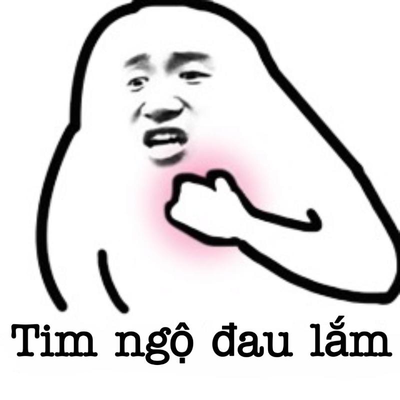 Meme gấu Trung Quốc và hải ly ấn tượng siêu hài hước