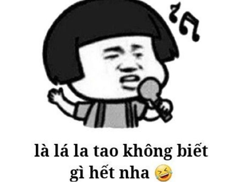 Tổng hợp 100 meme gấu trúc hài hước, hóm hỉnh và cực kỳ bá đạo