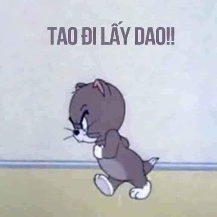 Meme Mèo Tuyển Chọn, Hài Hước Tột Bậc