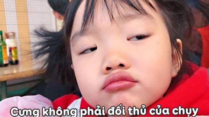 Hơn 100 bức ảnh meme hài hước, hài bựa vui nhộn mới nhất