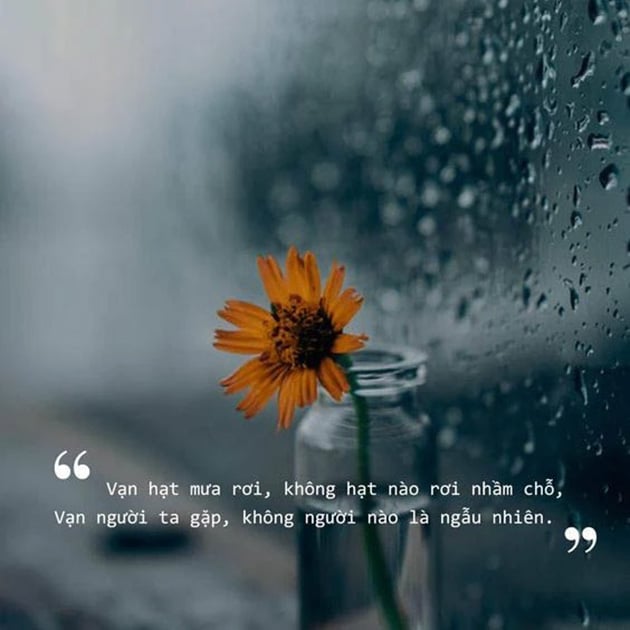 Những Hình Ảnh Yêu Đơn Phương Đẹp Và Buồn Nhất