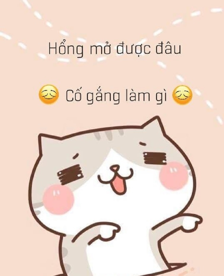 Top hình nền bỏ điện thoại tao xuống ngầu, cute nhất