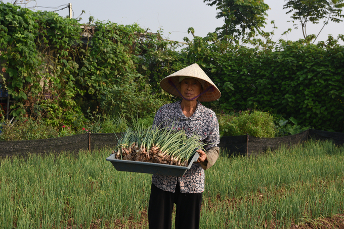 33% đất nông nghiệp ở Việt Nam đang bị thoái hóa