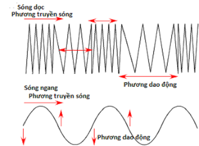 Sóng dọc và sóng ngang - Vật lý 11