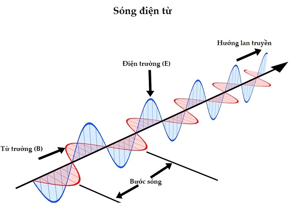 Sóng dọc và sóng ngang - Vật lý 11