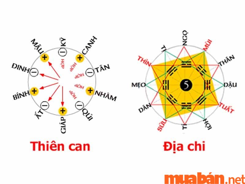 Tử Vi Tuổi Đinh Sửu Năm 2023 Nam Mạng: Luận Giải Sự Nghiệp, Sức Khỏe, Tình Duyên