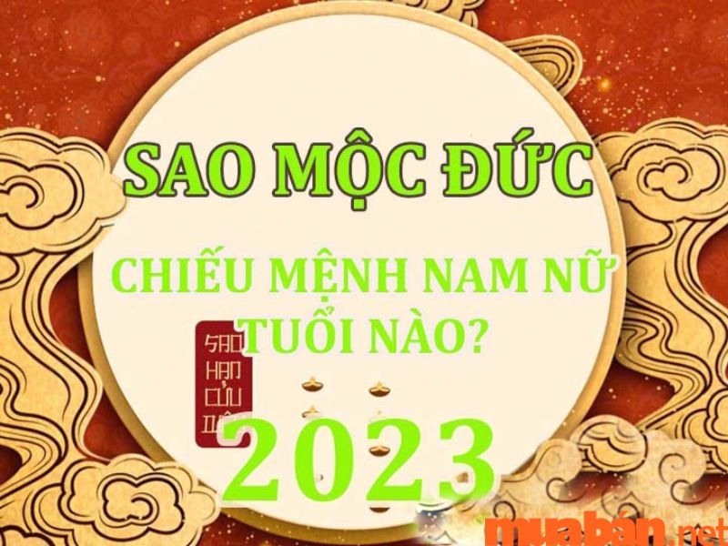 Tử Vi Tuổi Đinh Sửu Năm 2023 Nam Mạng: Luận Giải Sự Nghiệp, Sức Khỏe, Tình Duyên