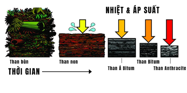 Than antraxit tập trung chủ yếu ở vùng nào tại Việt Nam?