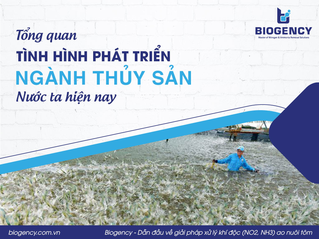 Tổng quan tình hình phát triển ngành thủy sản nước ta hiện nay