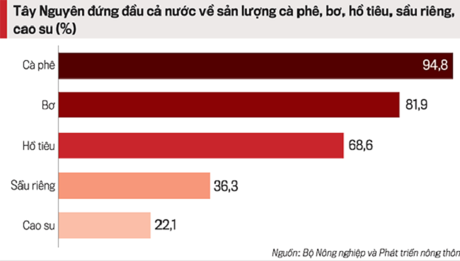 Nông nghiệp Tây Nguyên: Phát triển tùy tiện - Nhịp sống kinh tế Việt Nam & Thế giới