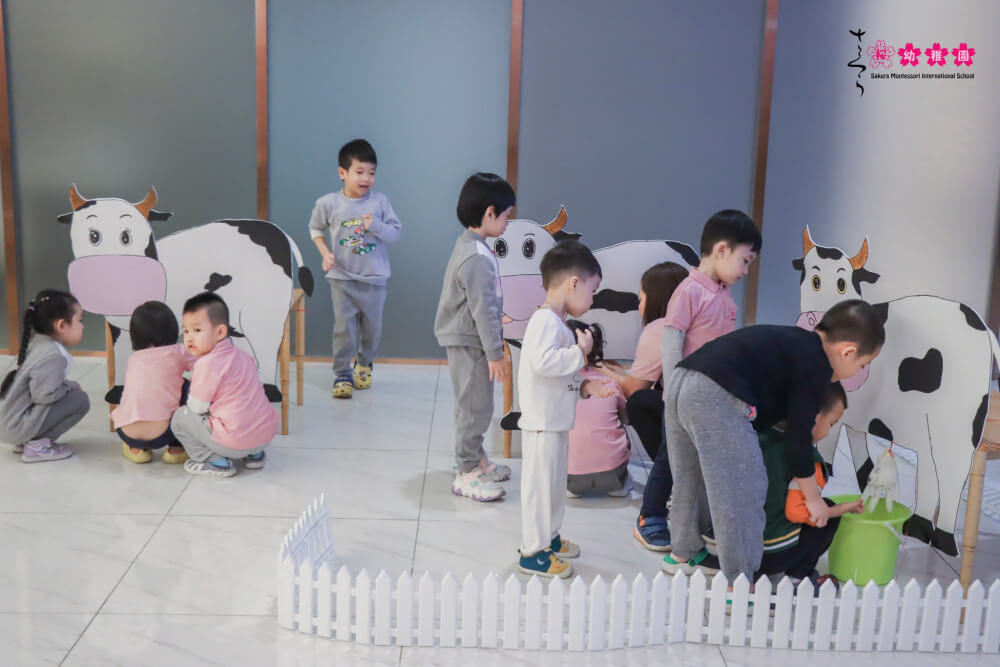 Project based learning - Phương pháp giáo dục hiện đại, nổi bật