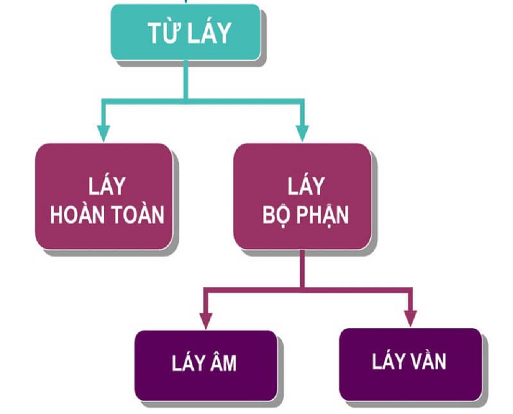 Từ láy là gì? Phân loại từ láy lớp 4 chi tiết [Bản đầy đủ 2023]