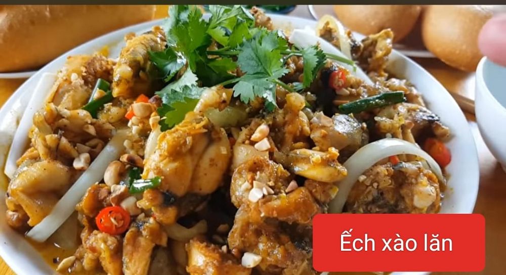 9 cách chế biến ếch xào cho bé ăn dặm ngon miệng không nên bỏ qua