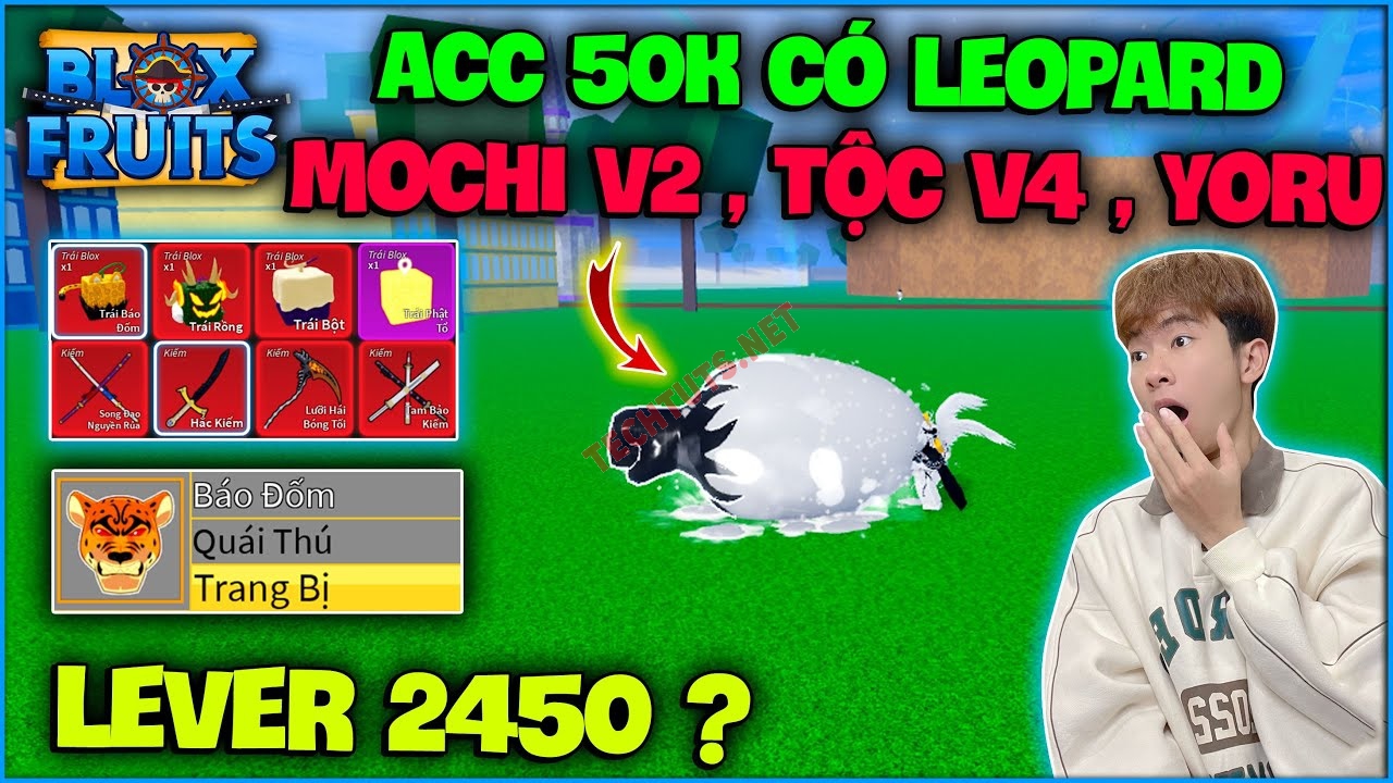 Full bộ hình ảnh Blox Fruit cool ngầu, ảnh acc Blox Fruit lv max