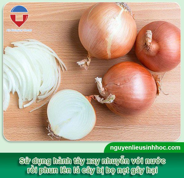 Sâu bọ nẹt là gì? Nhận biết và phòng trừ hiệu quả, an toàn