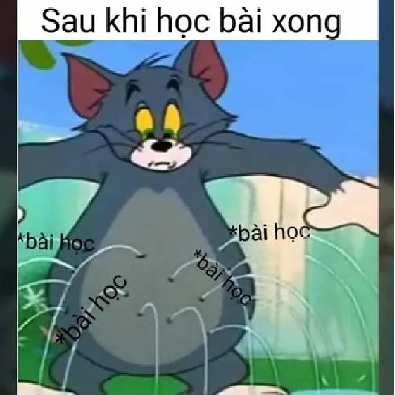 Tổng hợp bộ tom and jerry meme cực hài hước dễ thương
