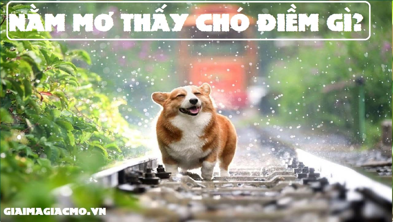 Nằm Mơ Thấy Nước Ngập Đường Đi: Những Điều Bí Ẩn và Giải Mã Lô Đề