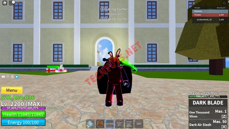 Full bộ hình ảnh Blox Fruit cool ngầu, ảnh acc Blox Fruit lv max