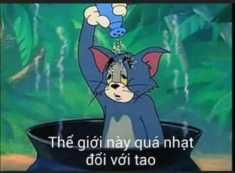 Tổng hợp bộ tom and jerry meme cực hài hước dễ thương