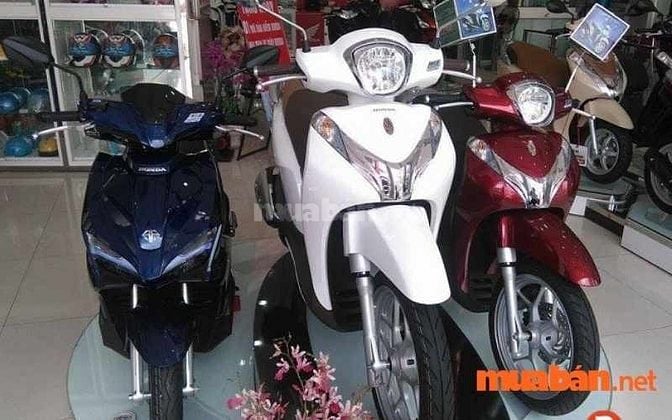 Mua Bán Xe SH Mode Cũ Giá Rẻ, Chính Chủ T6/2024