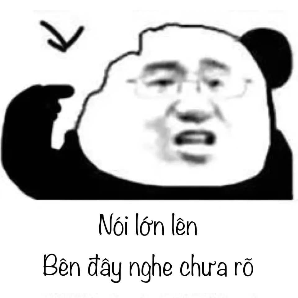 Đồng hành cùng bộ sưu tập meme gấu trúc Weibo hài bá đạo