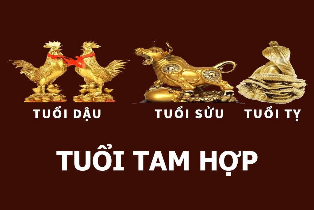 Tam hợp tuổi Tỵ Dậu Sửu có tốt không? Tìm hiểu về Tam hợp tuổi Tỵ Dậu Sửu