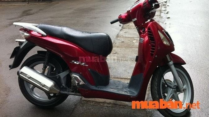 Mua Bán Xe SH Mode Cũ, Mới TP.HCM Giá Tốt Trong T6/2024