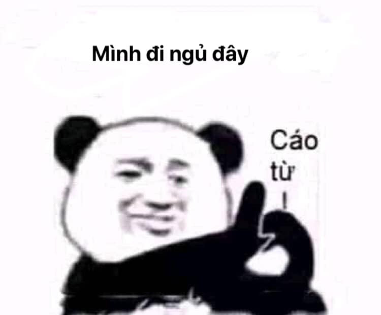 Đồng hành cùng bộ sưu tập meme gấu trúc Weibo hài bá đạo