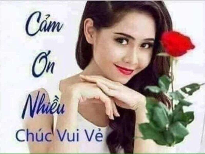25+ ảnh meme cảm ơn cute, meme cảm ơn cà khịa cực mạnh