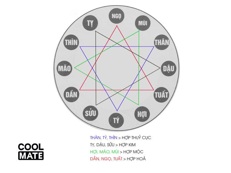 Tìm hiểu tam hợp, tứ hành xung là gì? Tuổi tam hợp của 12 con giáp