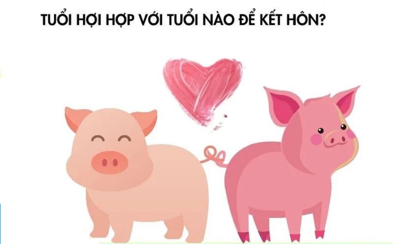 Tuổi Hợi hợp với tuổi nào trong làm ăn, kinh doanh & hôn nhân?