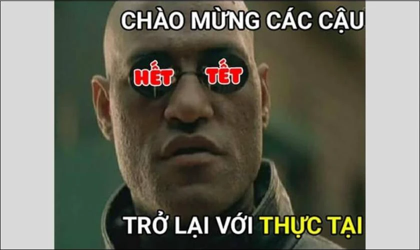 Sưu tầm 50+ mẫu meme Tết độc đáo cho Tết 2024