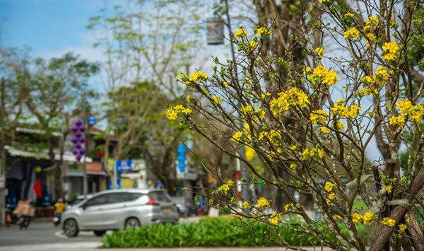 Bạn có biết Đi Huế mùa nào đẹp nhất chưa?