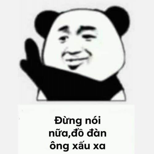 Đồng hành cùng bộ sưu tập meme gấu trúc Weibo hài bá đạo