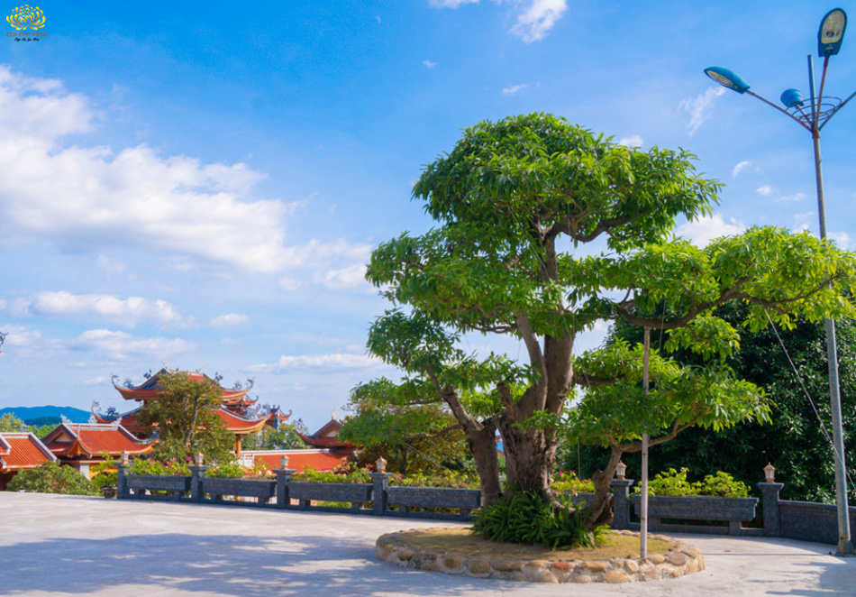 Những câu chuyện khiến bạn tin tâm linh có thật