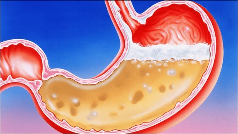 Lá đu đủ có tác dụng gì? 13 công dụng và cách sử dụng lá đu đủ