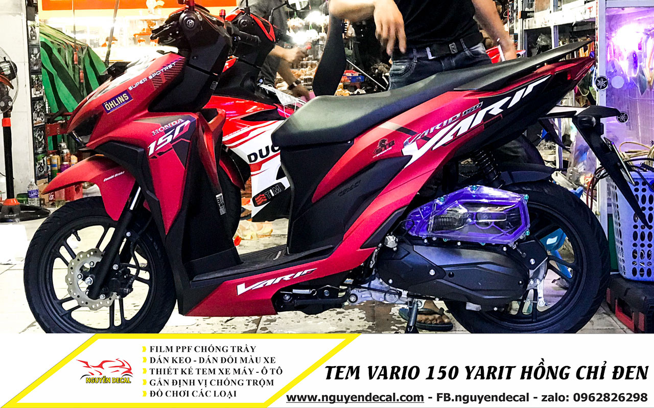 20+ mẫu decal - Tem xe vario được săn đón nhất hiện nay