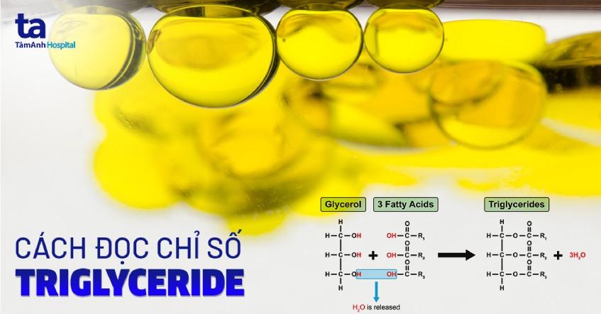 Xét nghiệm Triglyceride là gì? Cách đọc các chỉ số chẩn đoán bệnh