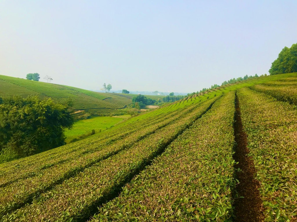 KINH NGHIỆM ĐI DU LỊCH THANH THỦY TIẾT KIỆM & THOẢI MÁI