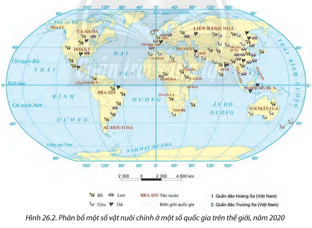 Bài 26. Địa lí các ngành nông nghiệp, lâm nghiệp, thủy sản SGK Địa lí 10 Chân trời sáng tạo